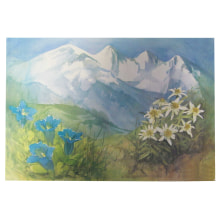 Tischset Papier Alpenblumen 20 Stück