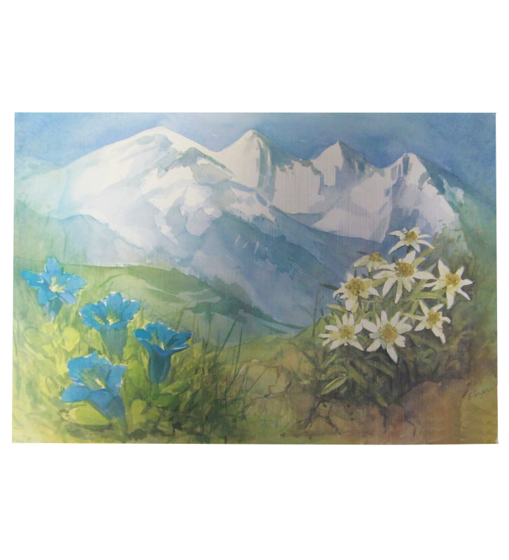 Tischset Papier Alpenblumen 20 Stück