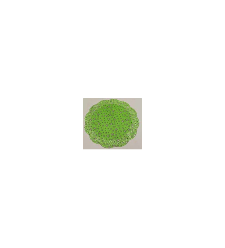 Spitzen Edelweiss grün 36 cm 6 Stück
