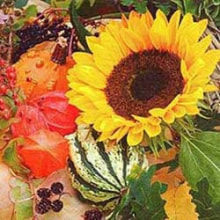 Servietten Ti Flair Sunflower Bloom, 33cm