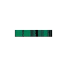 Poly-Ringelband Mexico d'grün 5mm x400m